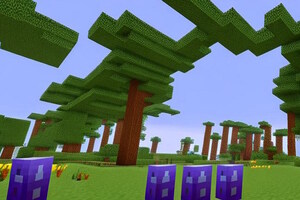 Фотография квеста-анимации Майнкрафт от компании Хамелеон (Фото 1)